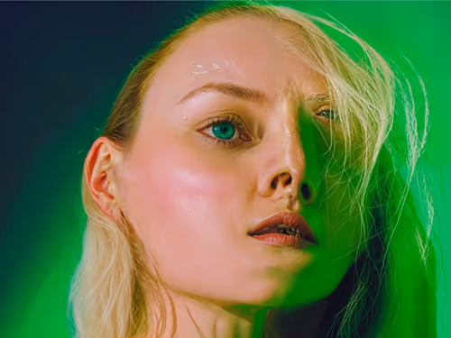 Item #23000009 Media