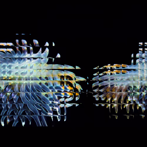 Item #11000048 Media