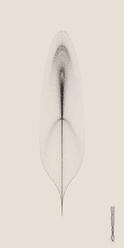 Item #16000048 Media