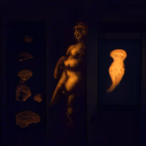 Le Travail Des Reves By Aurece Vettier