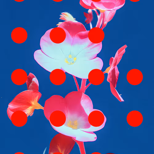 Flore Perdue #57