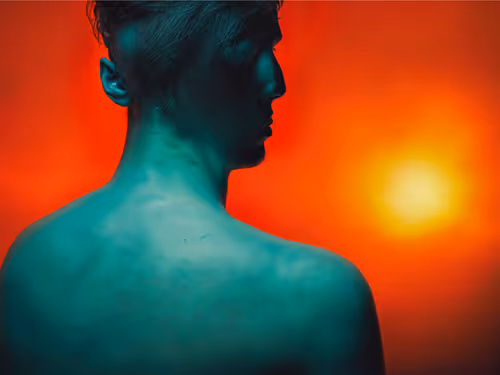 Item #23000065 Media