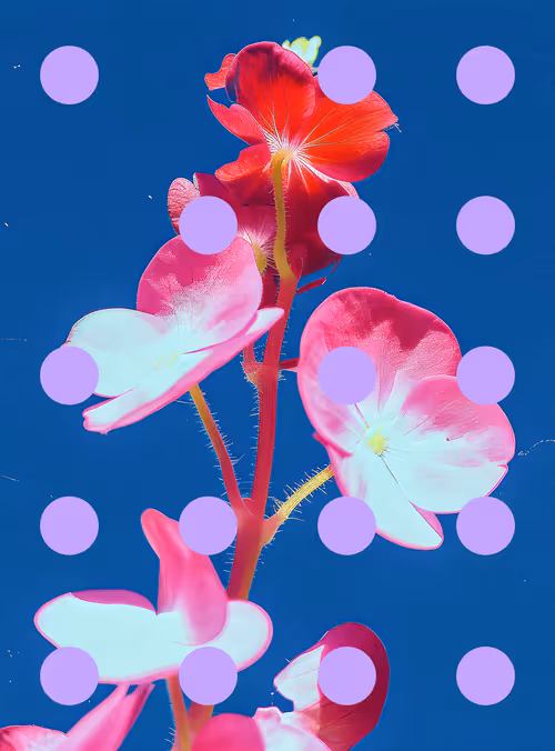 Item #29000088 Media