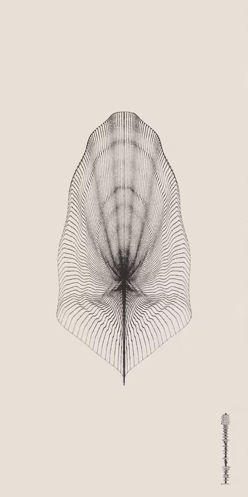 Item #16000033 Media