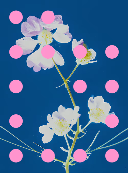 Item #29000046 Media