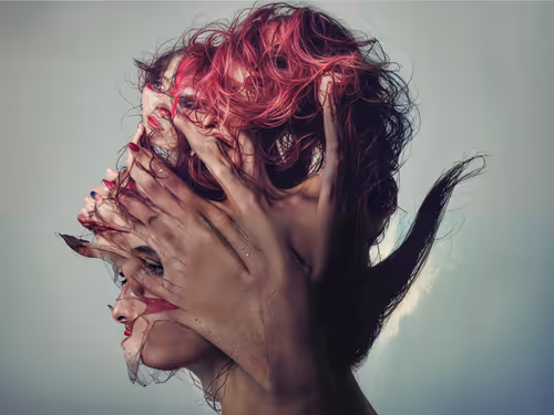 Item #23000012 Media