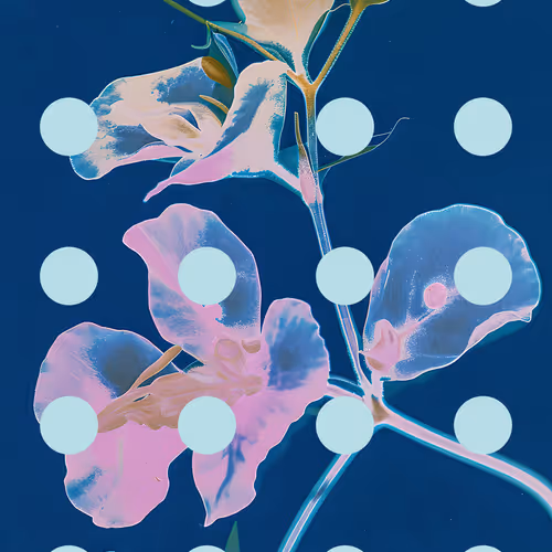 Flore Perdue #93