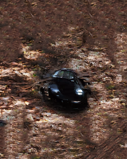 Item #27000056 Media