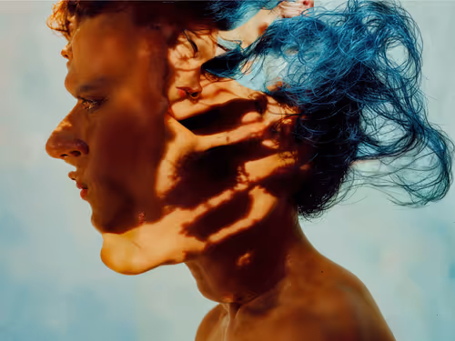 Item #23000025 Media