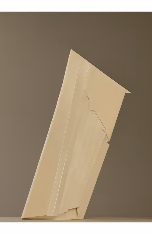 Item #20000089 Media