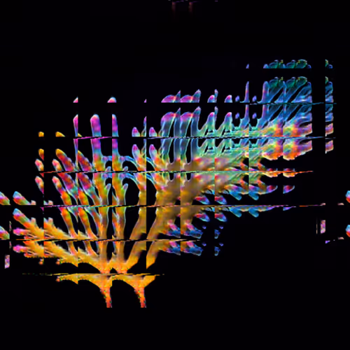 Item #11000043 Media