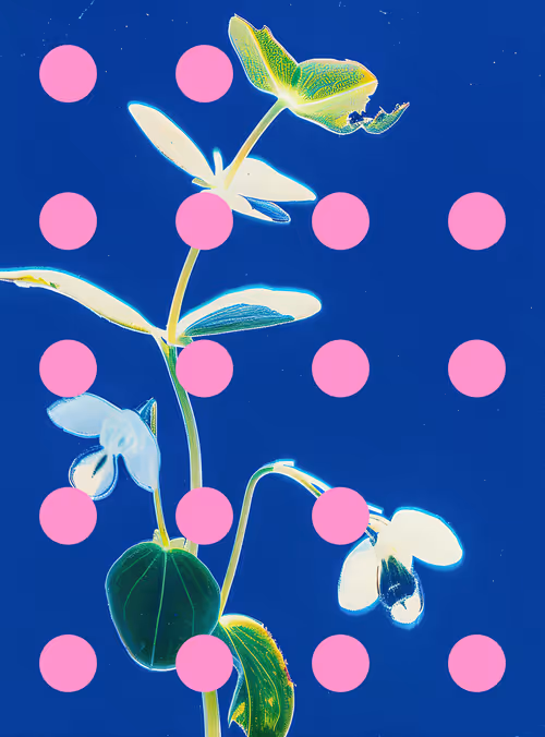 Item #29000000 Media