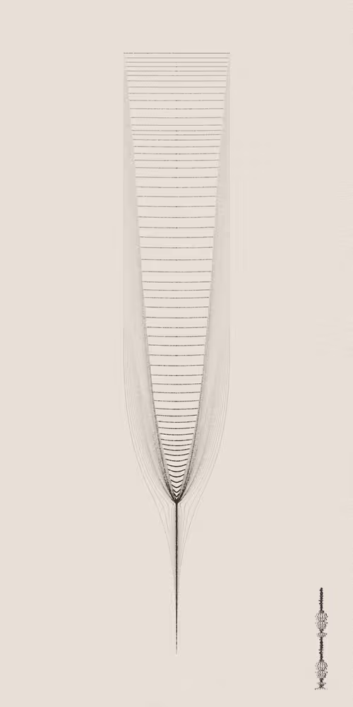 Item #16000035 Media