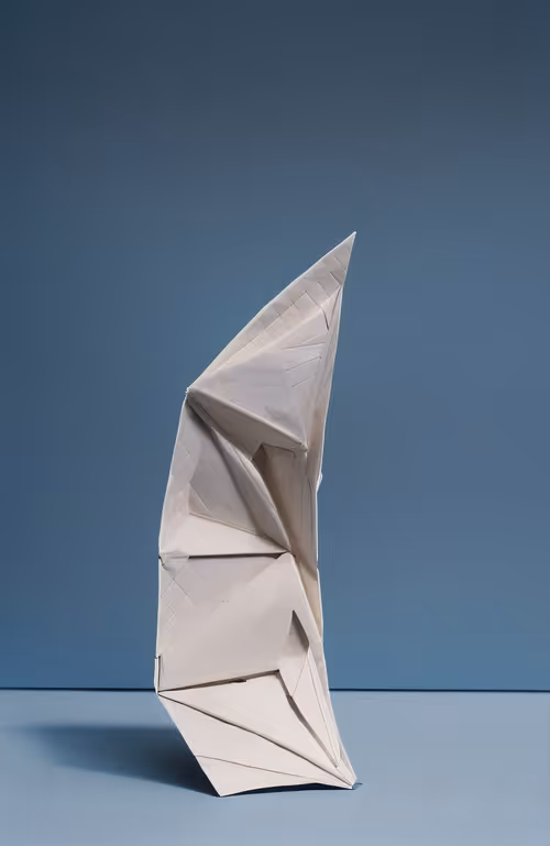 Item #20000096 Media