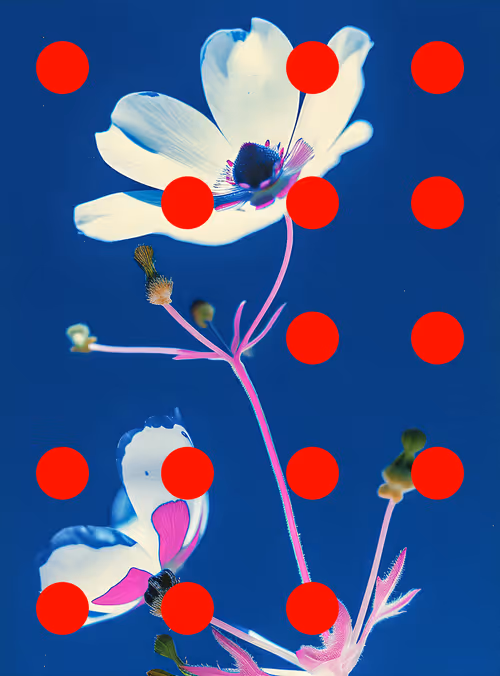 Item #29000008 Media