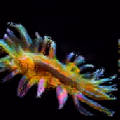 Item #11000089 Media