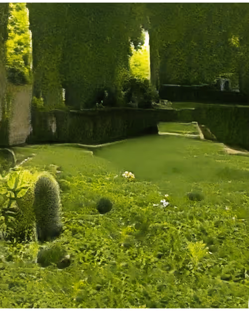 Item #27000091 Media