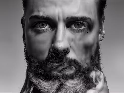 Item #23000061 Media