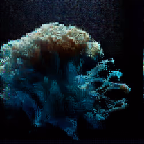 Item #11000028 Media