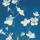 Flore Perdue #68