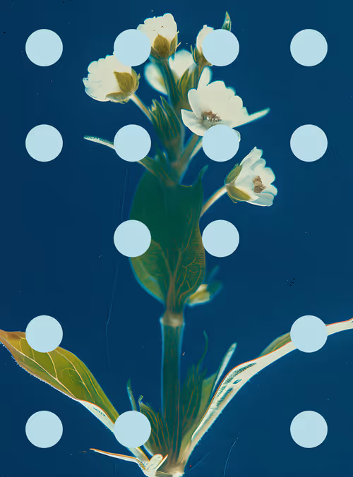 Item #29000096 Media