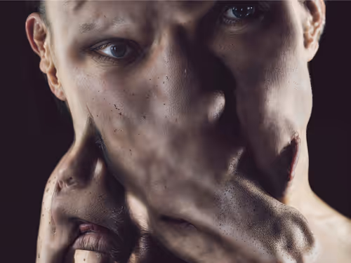 Item #23000014 Media