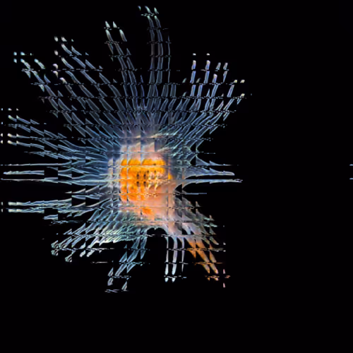 Item #11000074 Media