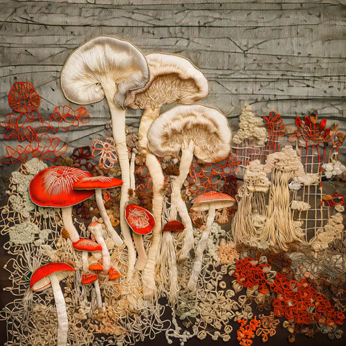 Kinoko Dreams By Richard Nadler