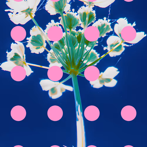 Flore Perdue #42