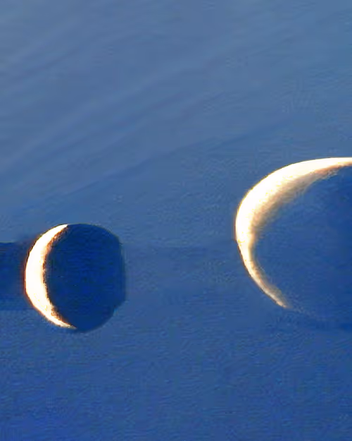 Item #27000097 Media