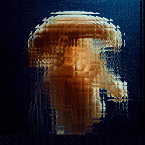 Item #11000085 Media