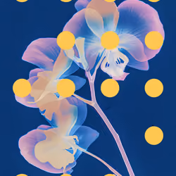 Flore Perdue #85
