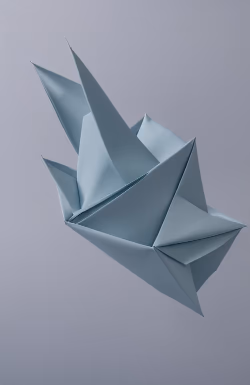 Item #20000057 Media