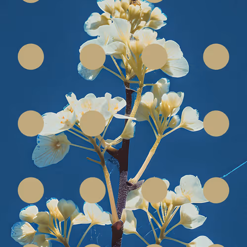 Flore Perdue By Linda Dounia