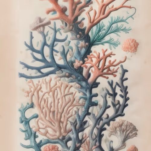 Unseen Flora By Fuse