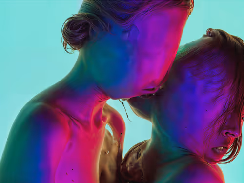 Item #23000066 Media