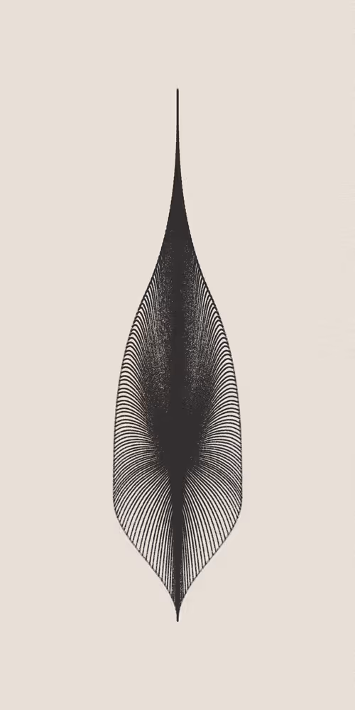 Item #16000013 Media