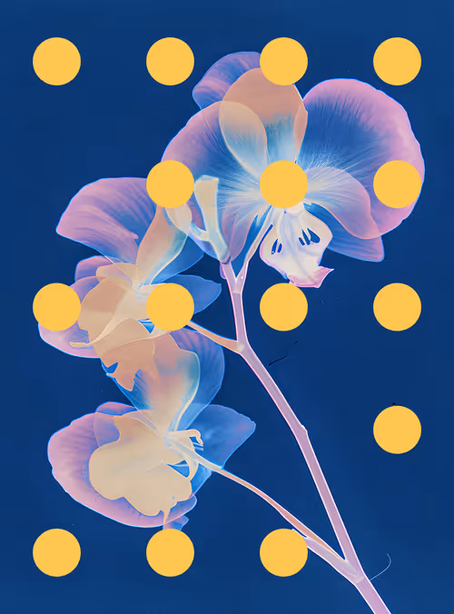 Item #29000085 Media