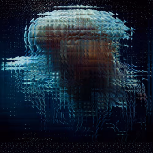 Item #11000065 Media