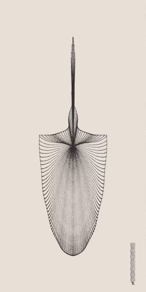 Item #16000034 Media