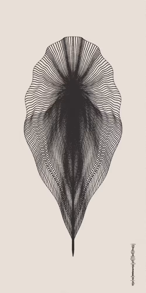 Item #16000001 Media