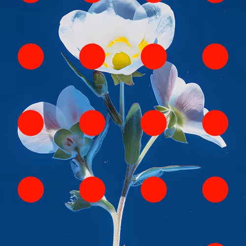 Flore Perdue By Linda Dounia