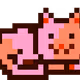 505