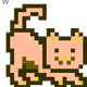 6251