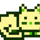 7505