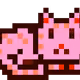 5429