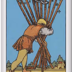 782