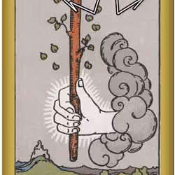249