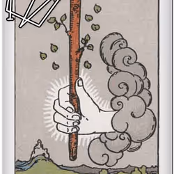 655