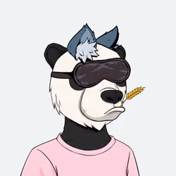 Okay Zuki Bears #3843